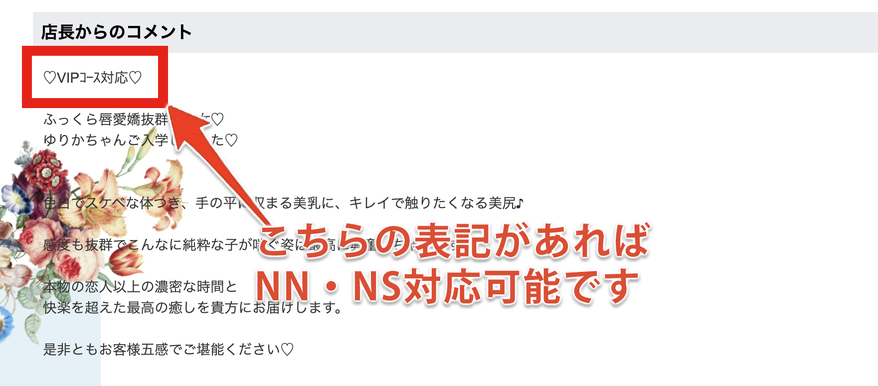 萌えラブスクールのNN・NS対応可能の見分け方