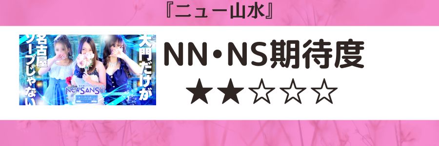 ニュー山水のロゴとNN・NS期待度