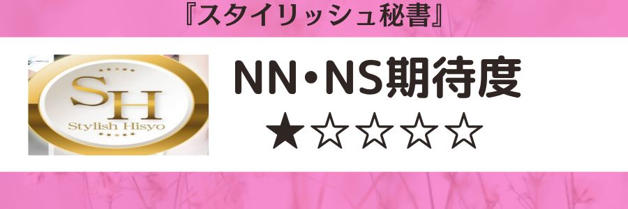 スタイリッシュ秘書のロゴとNN・NS期待度
