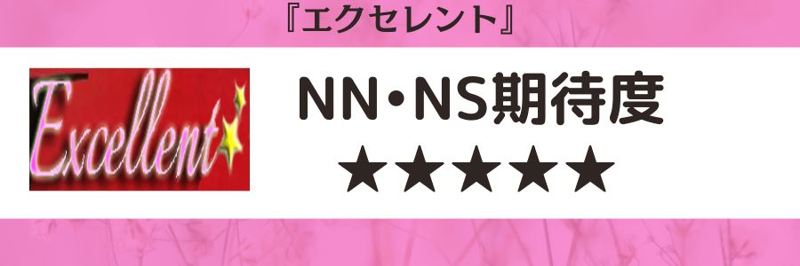 エクセレントのロゴとNN・NSの期待度