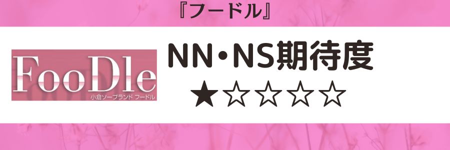 フードルのロゴとNN・NS期待度