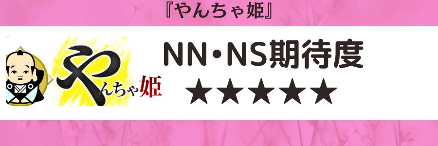 やんちゃ姫のロゴとNN・NS期待度