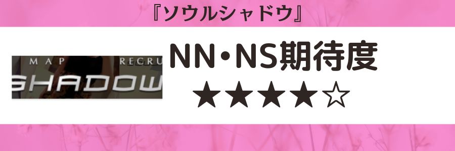 ソウルシャドウのロゴとNN・NS期待度