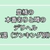 豊橋本番デリヘル5選